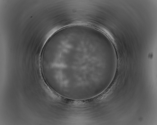 X0000091010907200708021546