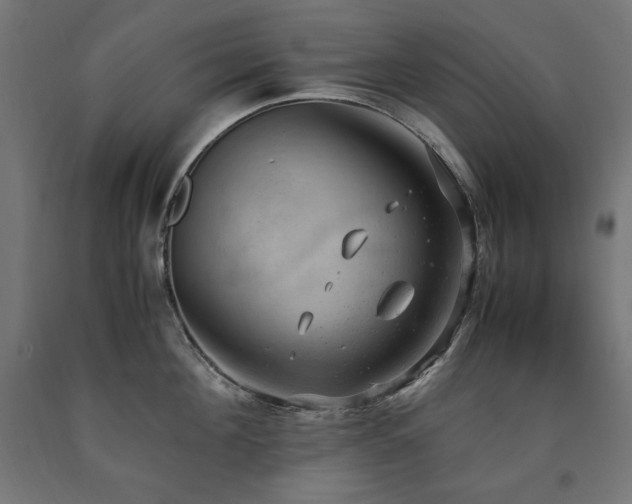 X0000091010908200708021546