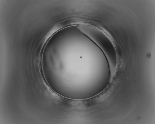 X0000091010909200708021546