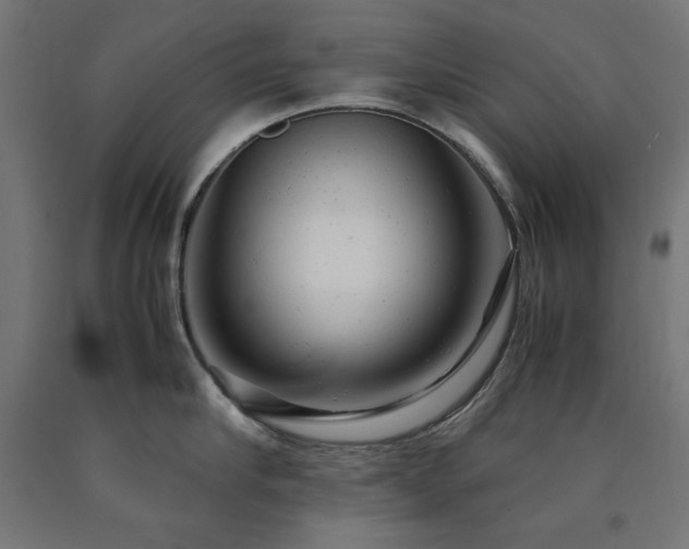 X0000091010910200708021546