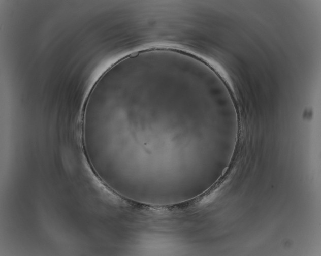 X0000091010911200708021546