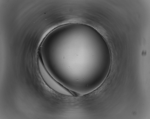 X0000091010912200708021546