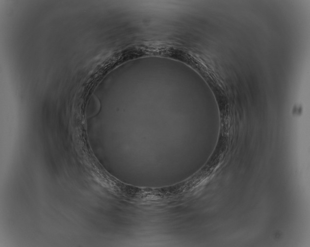 X0000091010913200708021545