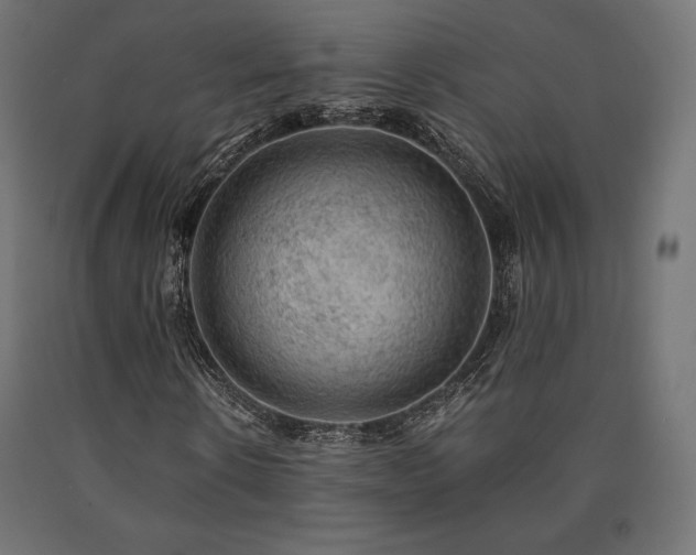X0000091010914200708021545