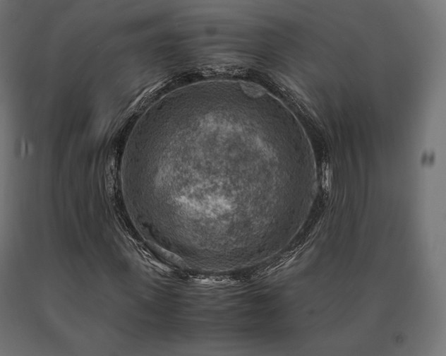 X0000091010915200708021545