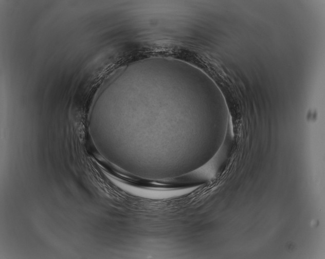 X0000091010916200708021545