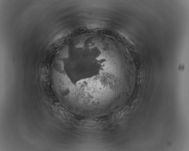 X0000091010917200708021545