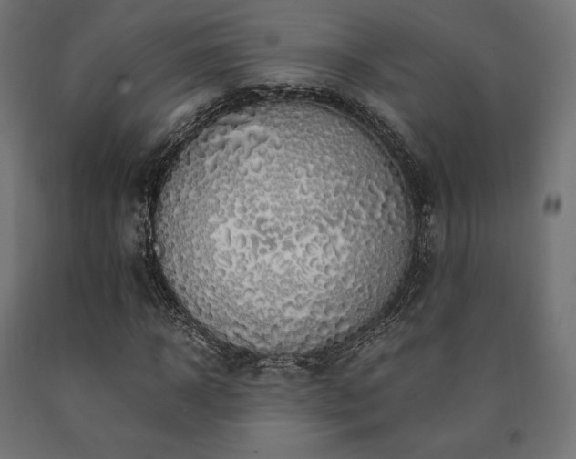 X0000091010918200708021545
