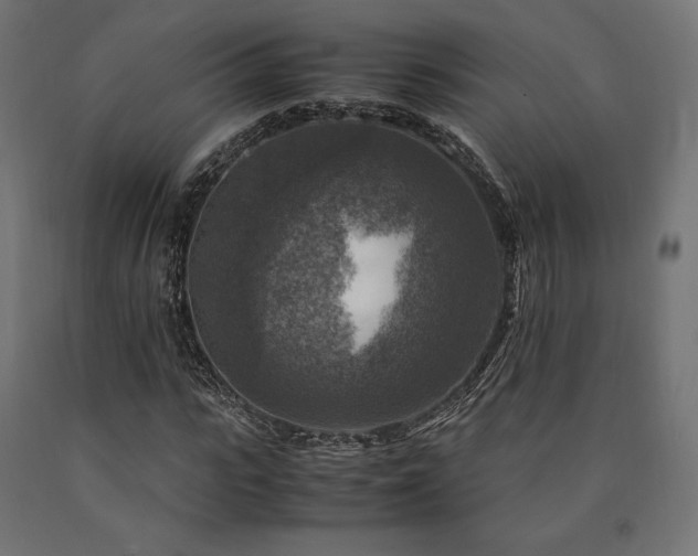 X0000091010919200708021545