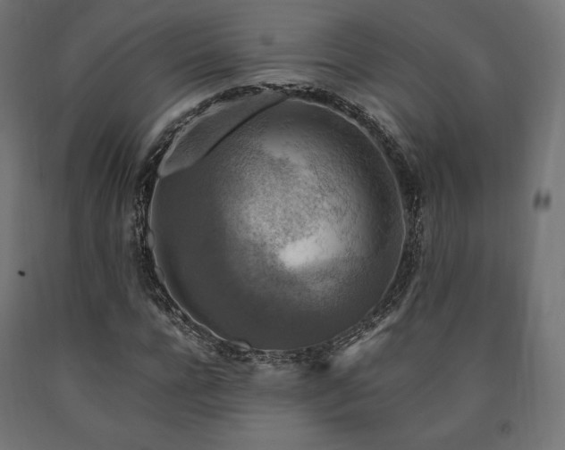X0000091010920200708021545