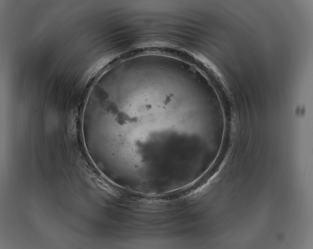 X0000091010921200708021545