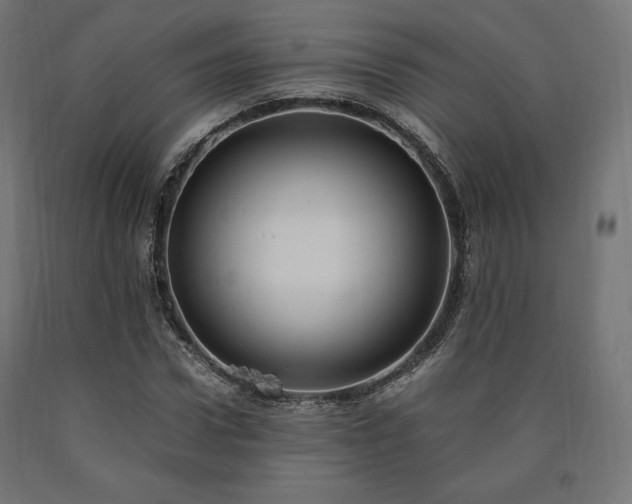 X0000091010922200708021545