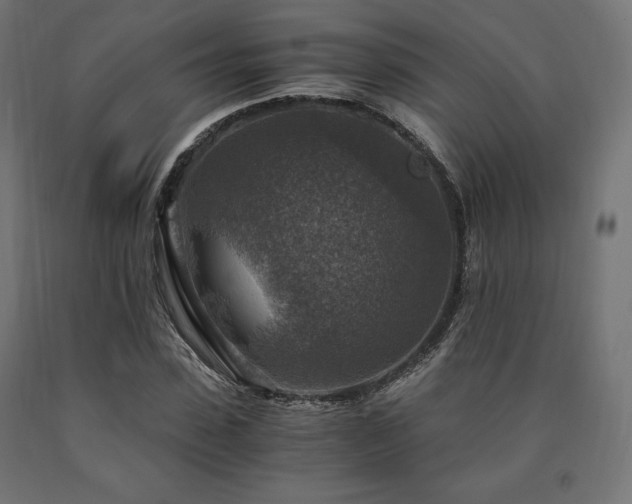 X0000091010923200708021545
