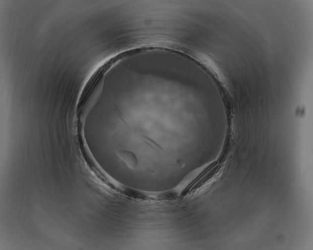 X0000091010924200708021545