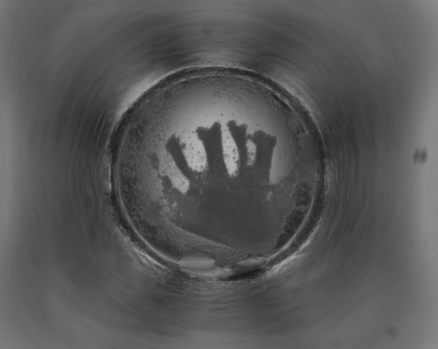 X0000091010925200708021545