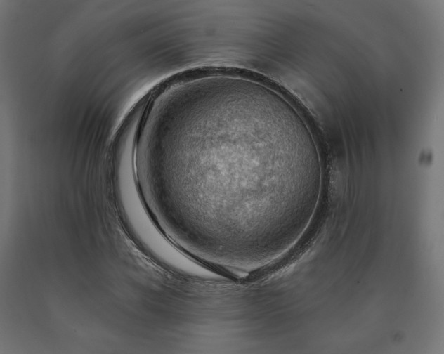 X0000091010926200708021545