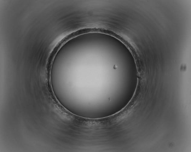 X0000091010927200708021545