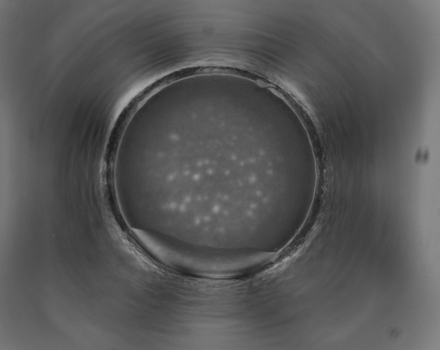 X0000091010928200708021545