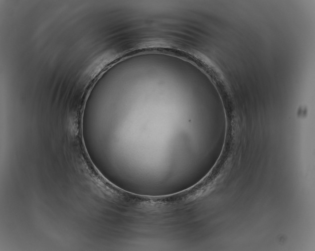 X0000091010929200708021545