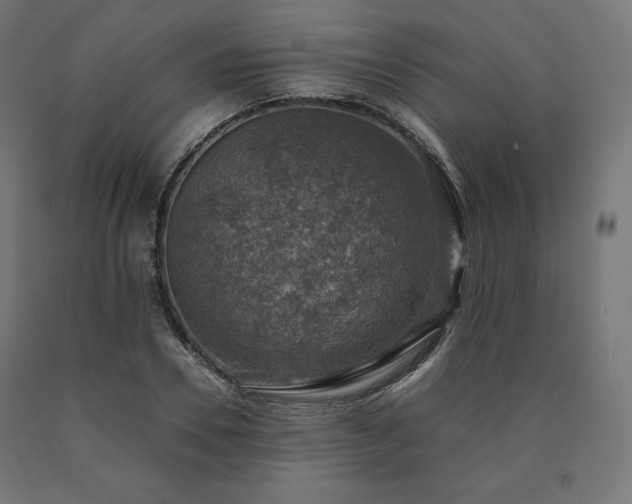 X0000091010930200708021545