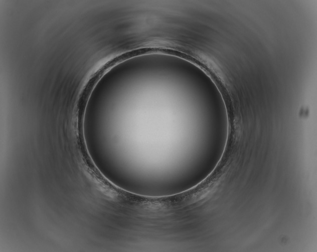 X0000091010931200708021545