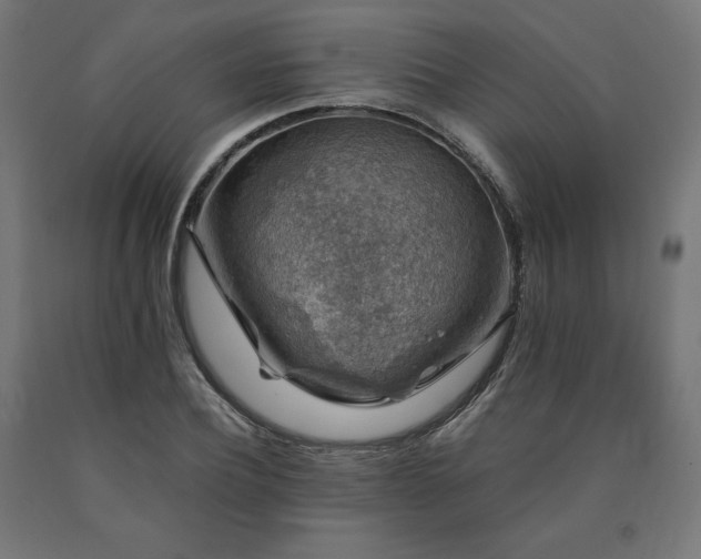 X0000091010932200708021545