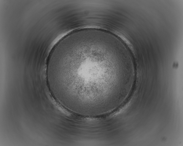 X0000091010933200708021545