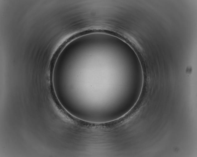 X0000091010934200708021545