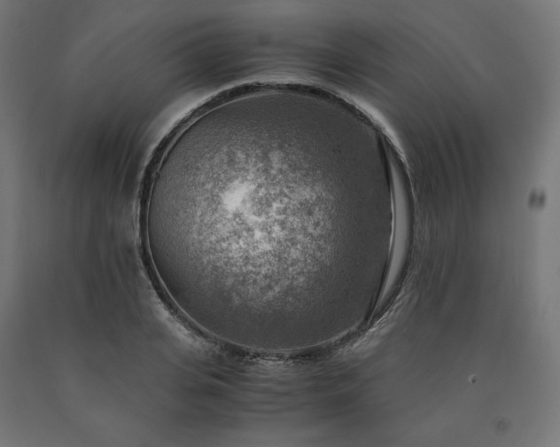 X0000091010935200708021545