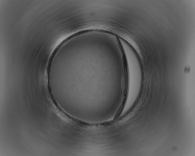 X0000091010936200708021545