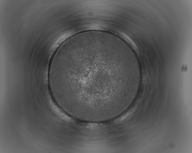 X0000091010938200708021545