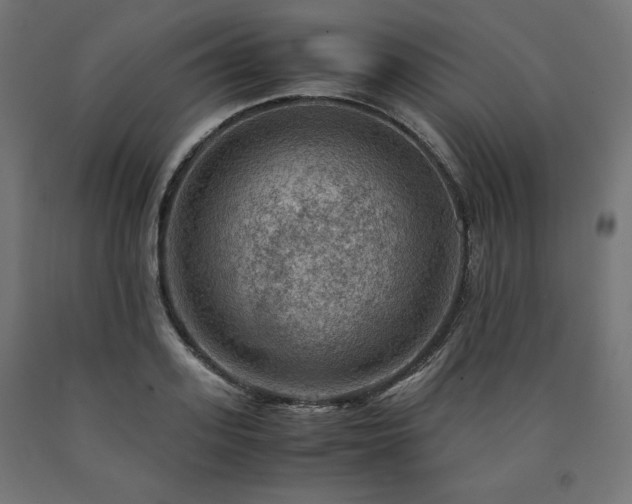 X0000091010939200708021545