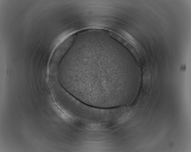 X0000091010940200708021545