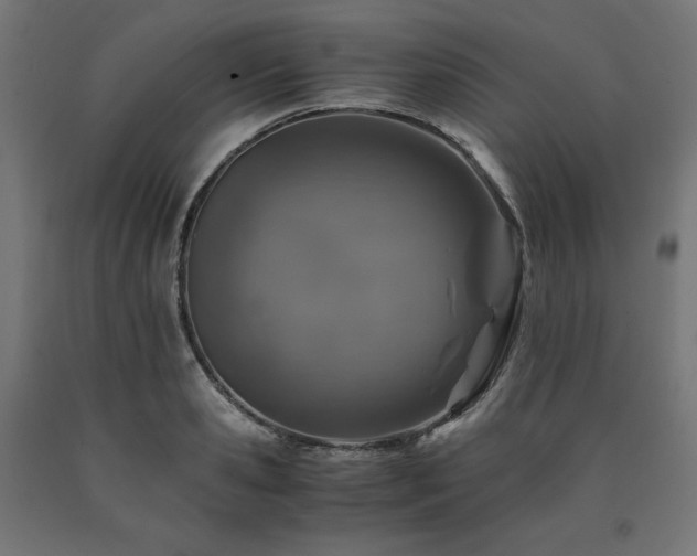 X0000091010941200708021545