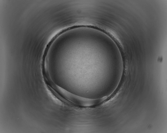X0000091010942200708021545