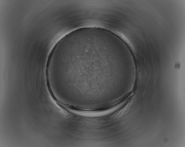 X0000091010943200708021545
