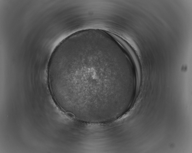 X0000091010944200708021545