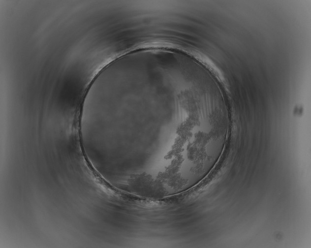 X0000091010945200708021545