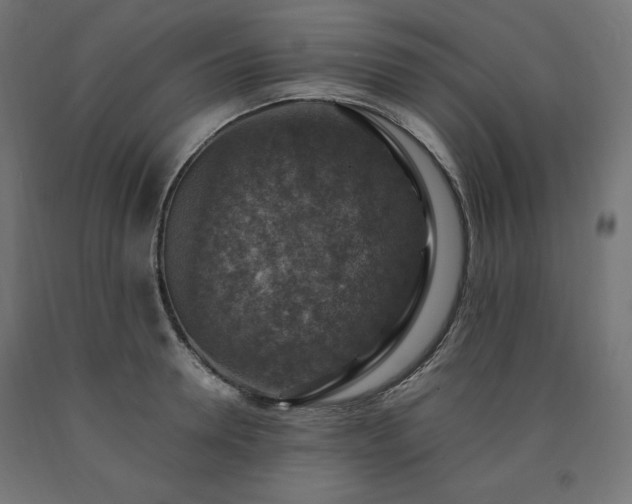 X0000091010946200708021545