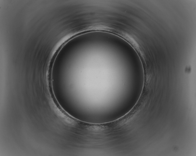 X0000091010947200708021545