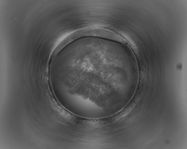 X0000091010948200708021545