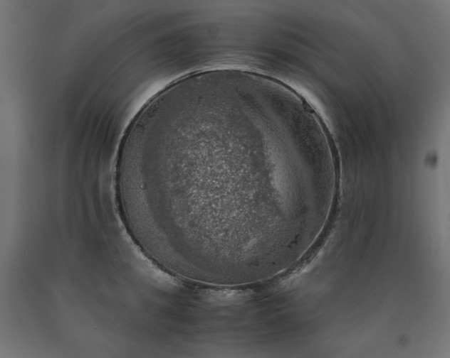 X0000091010949200708021545