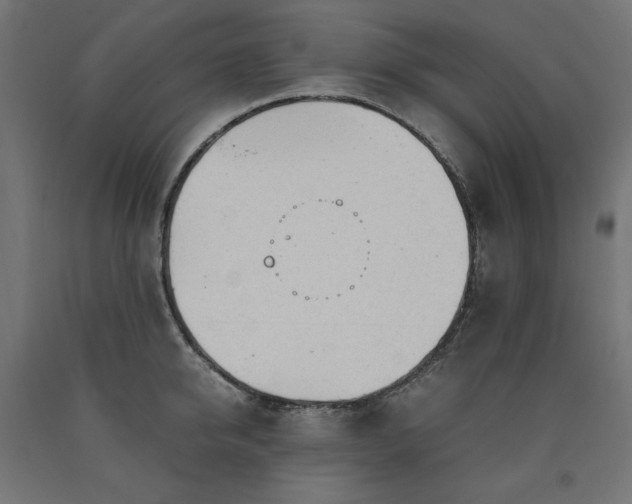 X0000091010950200708021545