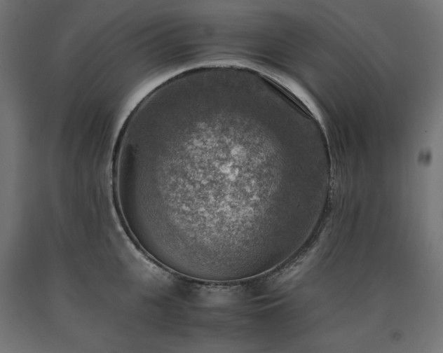 X0000091010951200708021545