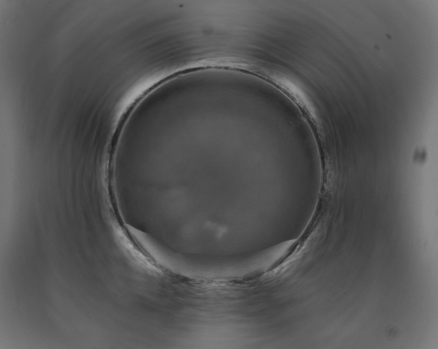 X0000091010952200708021545