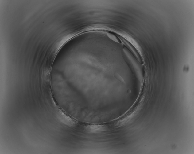 X0000091010953200708021545