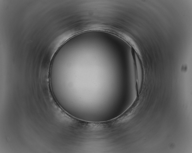 X0000091010954200708021545