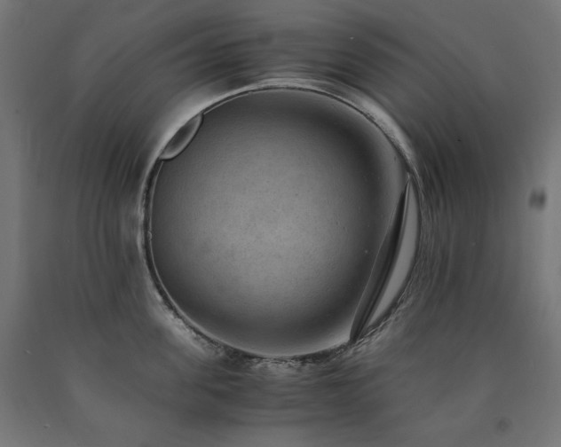 X0000091010955200708021546