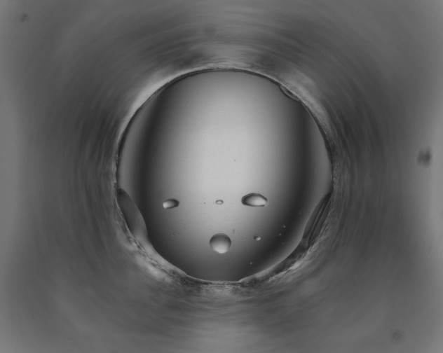 X0000091010956200708021546