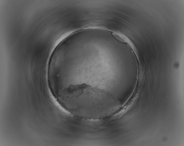 X0000091010957200708021546